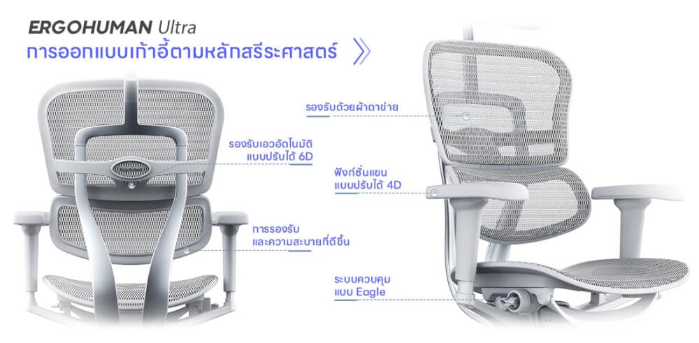 เก้าอี้เพื่อสุขภาพ DF PROCHAIR รุ่น Ergo Elite Ultra สีเทา